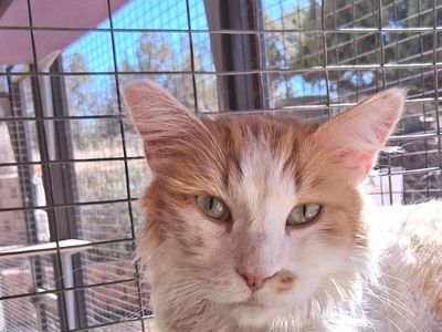 Hello my name is Soufie