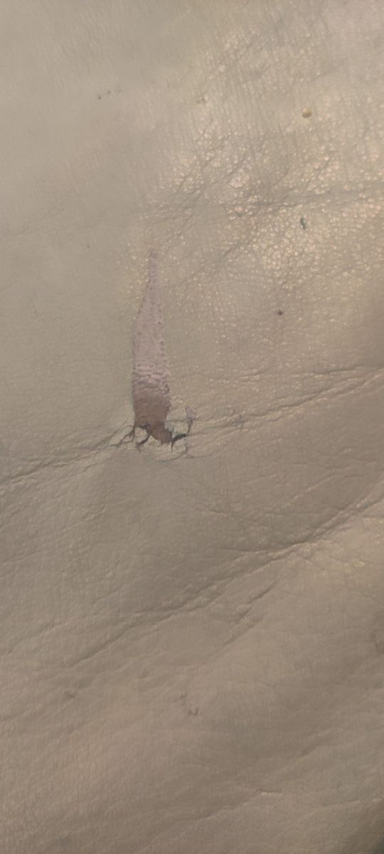 Main image 2
