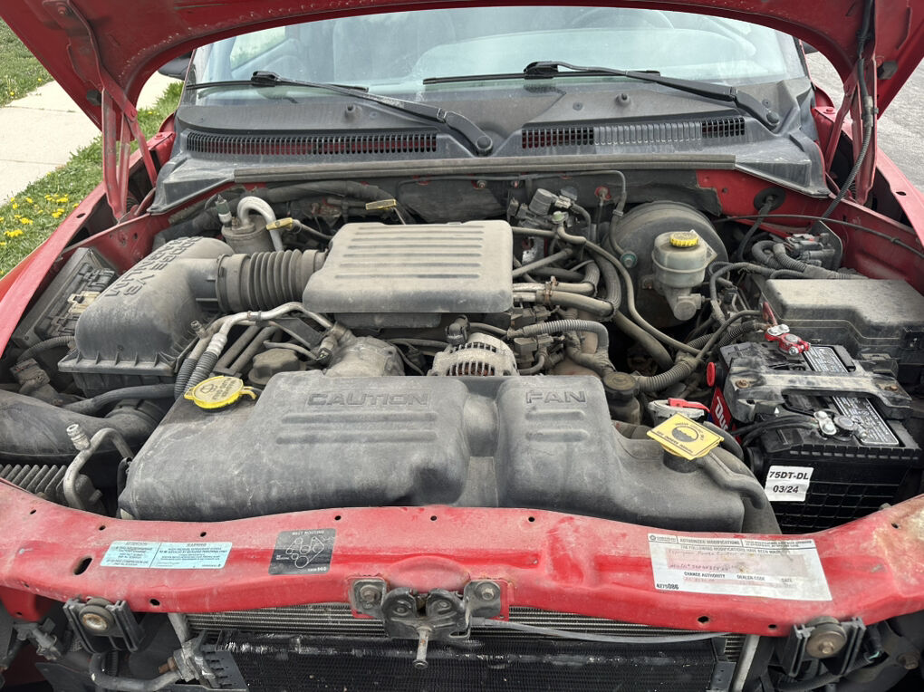 Main image 5