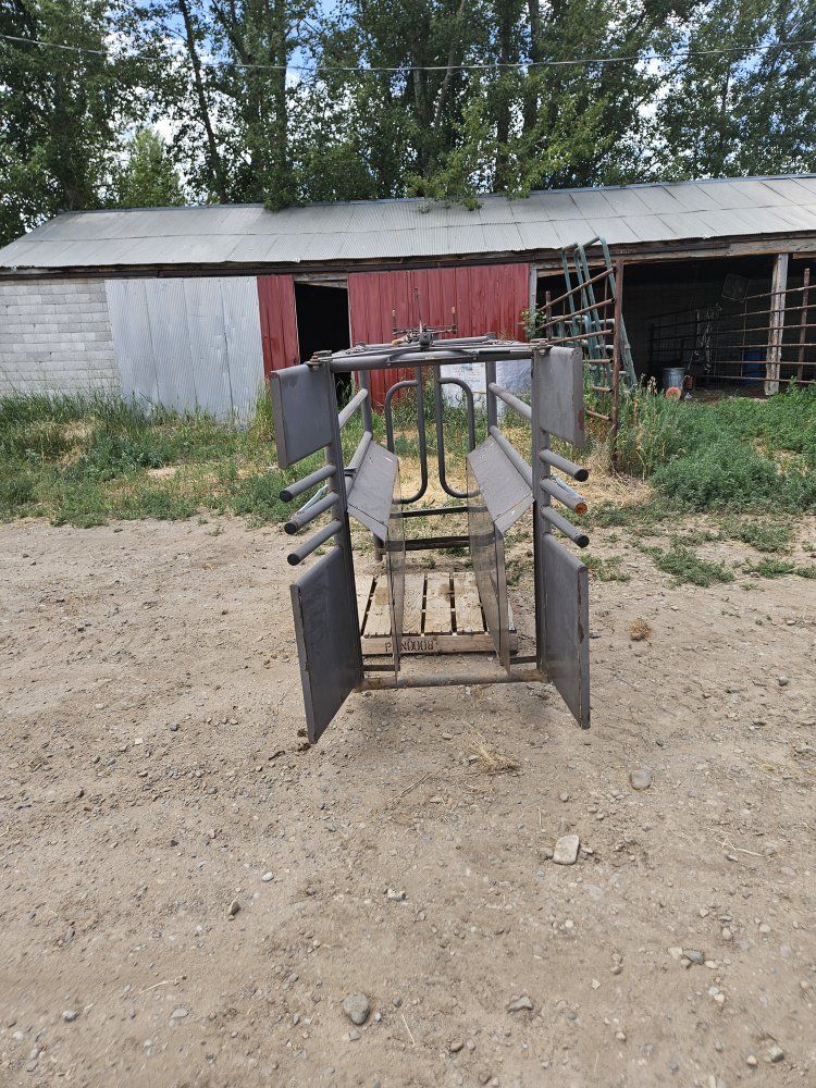 Main image 5