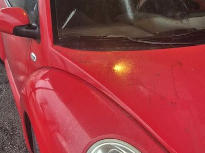 2002 VOLKSWAGEN BEETLE Sport