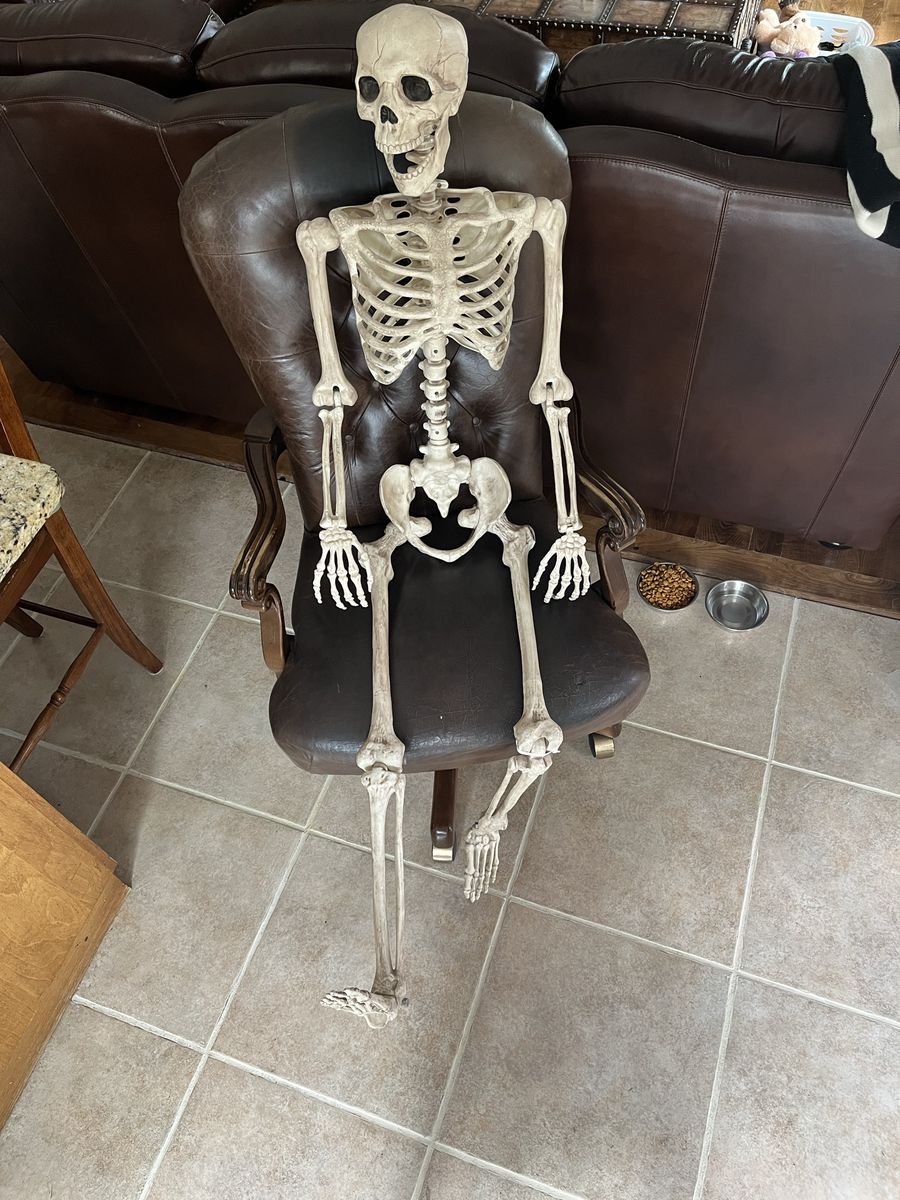 Poseable large, tall skeleton ready for Halloween.