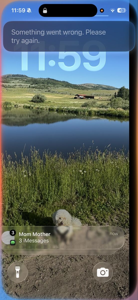 Main image 14