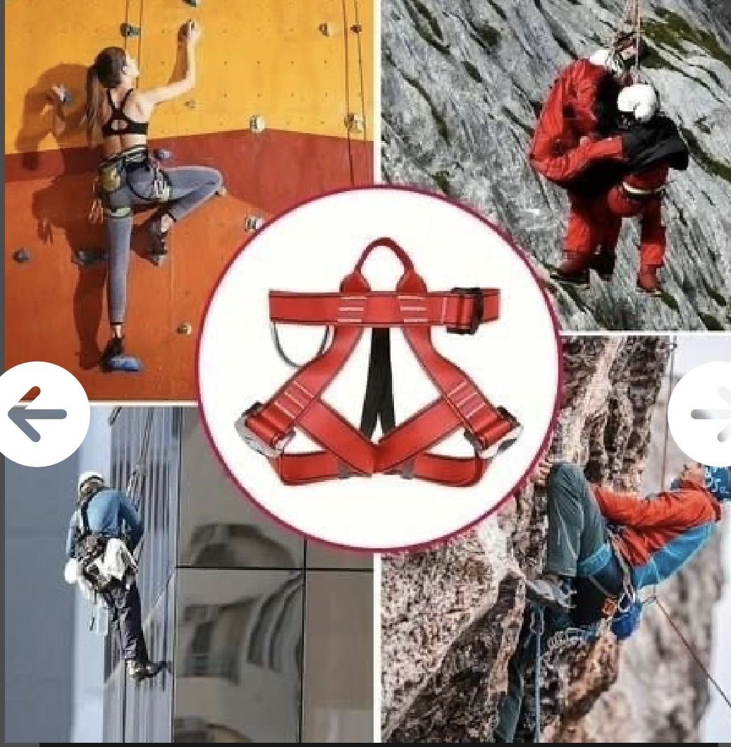 Main image 5