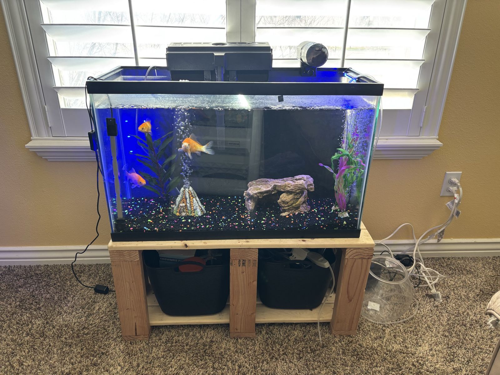 Complete 28-Gallon Aquarium Setup w/Stand & Accessories