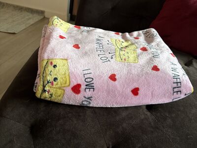 Blanket I LOve YoU A Waffle Lot 50x70
