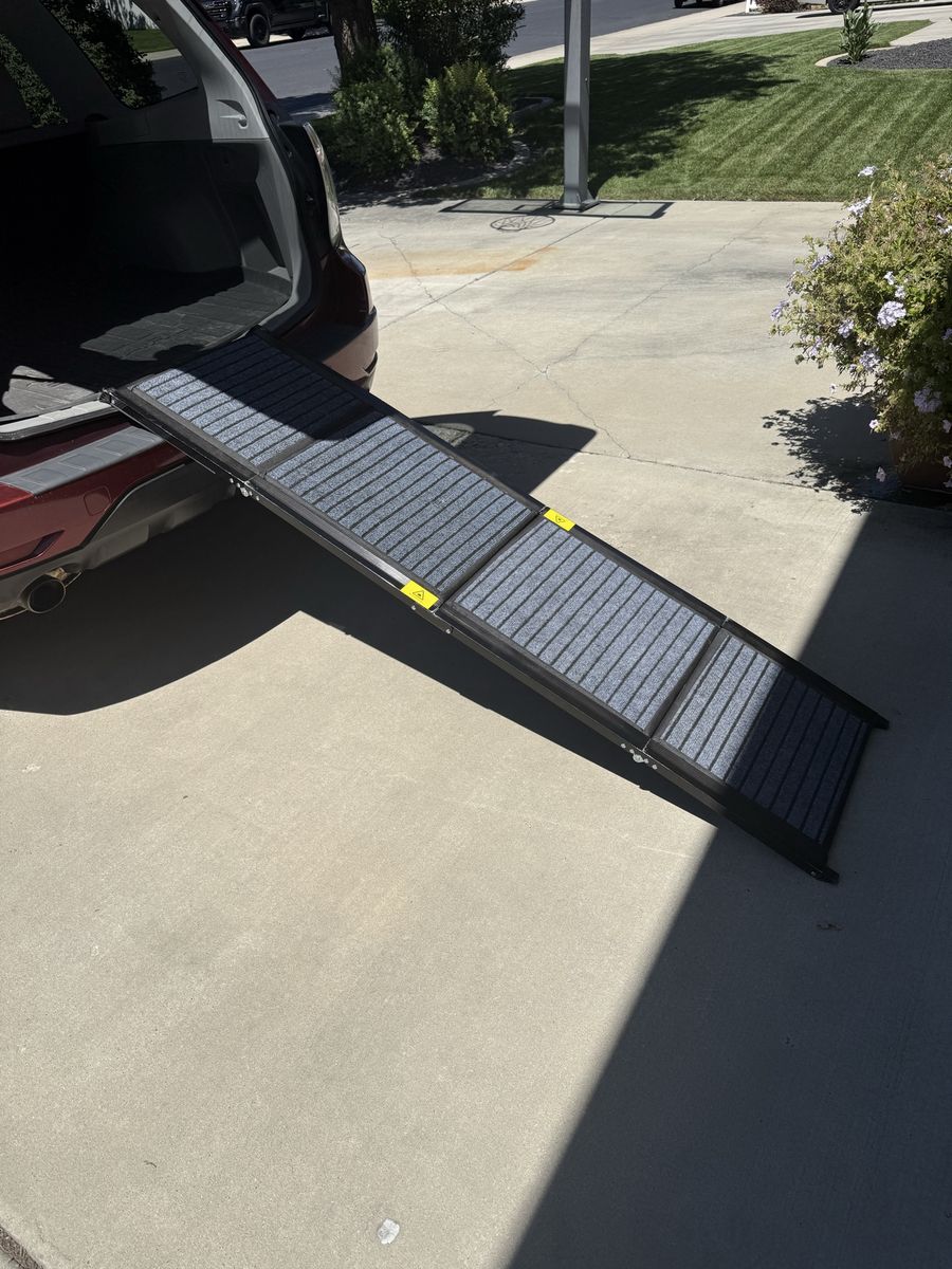 Heavy-Duty Folding Dog Ramp – Barely Used – $75