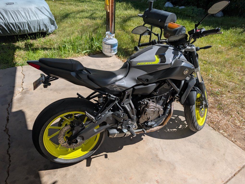 2016 FZ 07