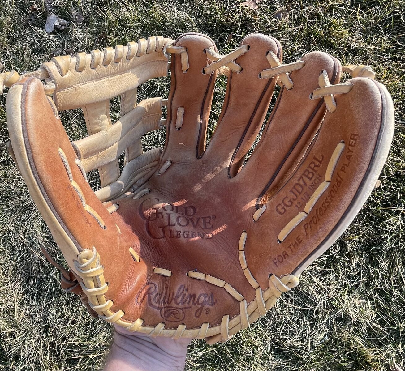 Rawlings Gold Glove Elite 12.5 in. Baseball/Softball Glove