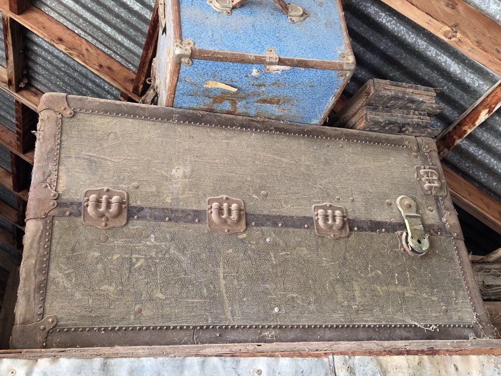 trunk