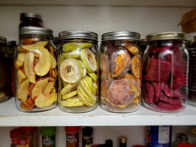 freeze drying/freeze dryer items