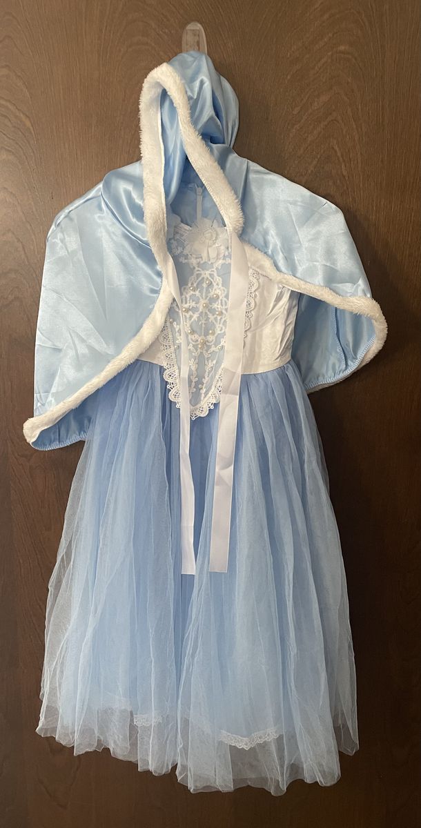 Cinderella Princess Dress Party Costume
