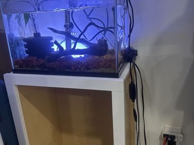 10 gallon rimless fish tank