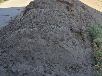 FREE Top Soil - You Haul