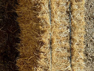 Wheat straw