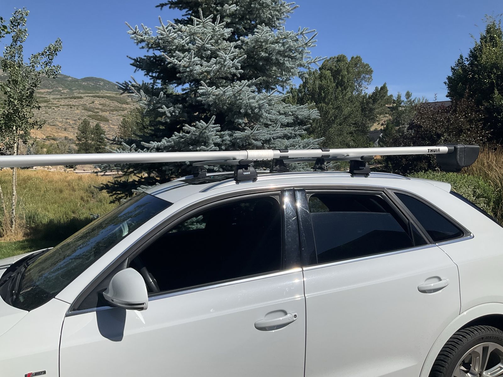 Thule 2 rod carrier $325