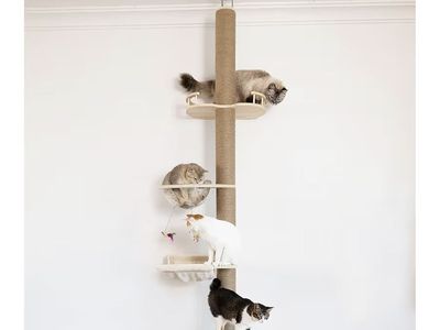 Lightly used 4 tier cat tree, customizable height