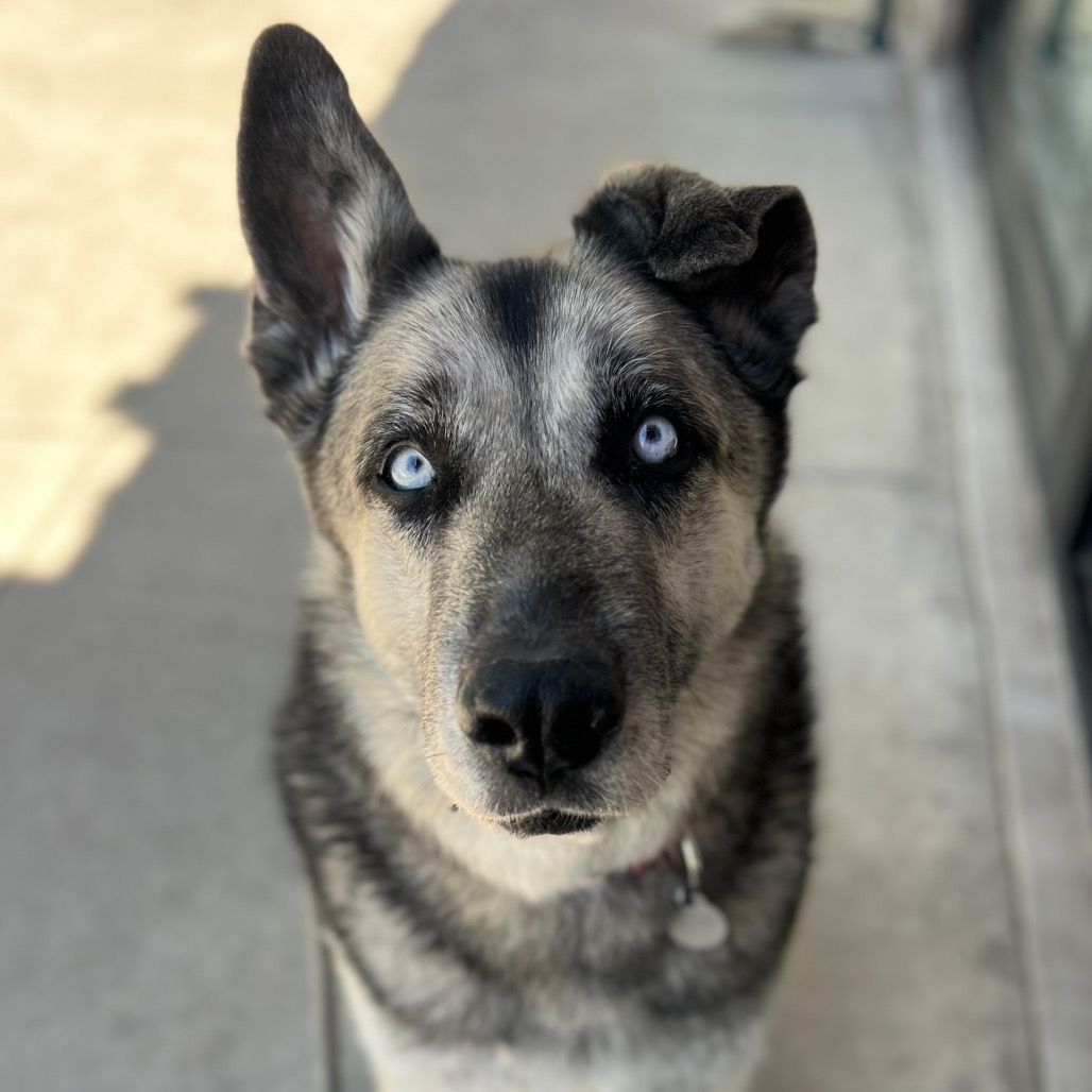 Hello my name is Todd