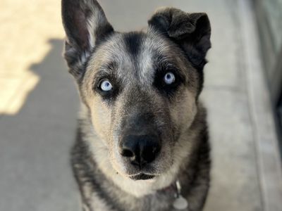 Hello my name is Todd