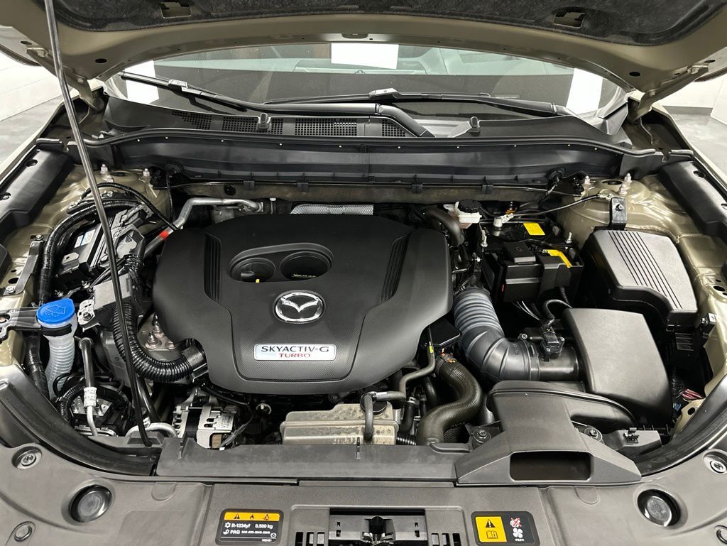 Main image 3