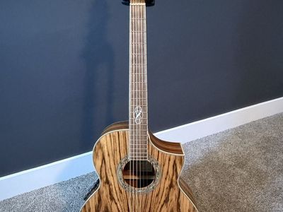 Ibanez Acoustic Electric Guitar Exotic Wood