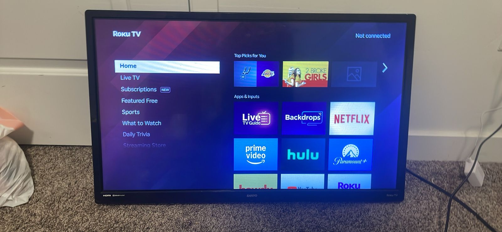 Roku TV