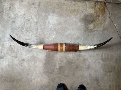 Steer Horns Decor with Leather & Rope Mount, Wall Hanging
