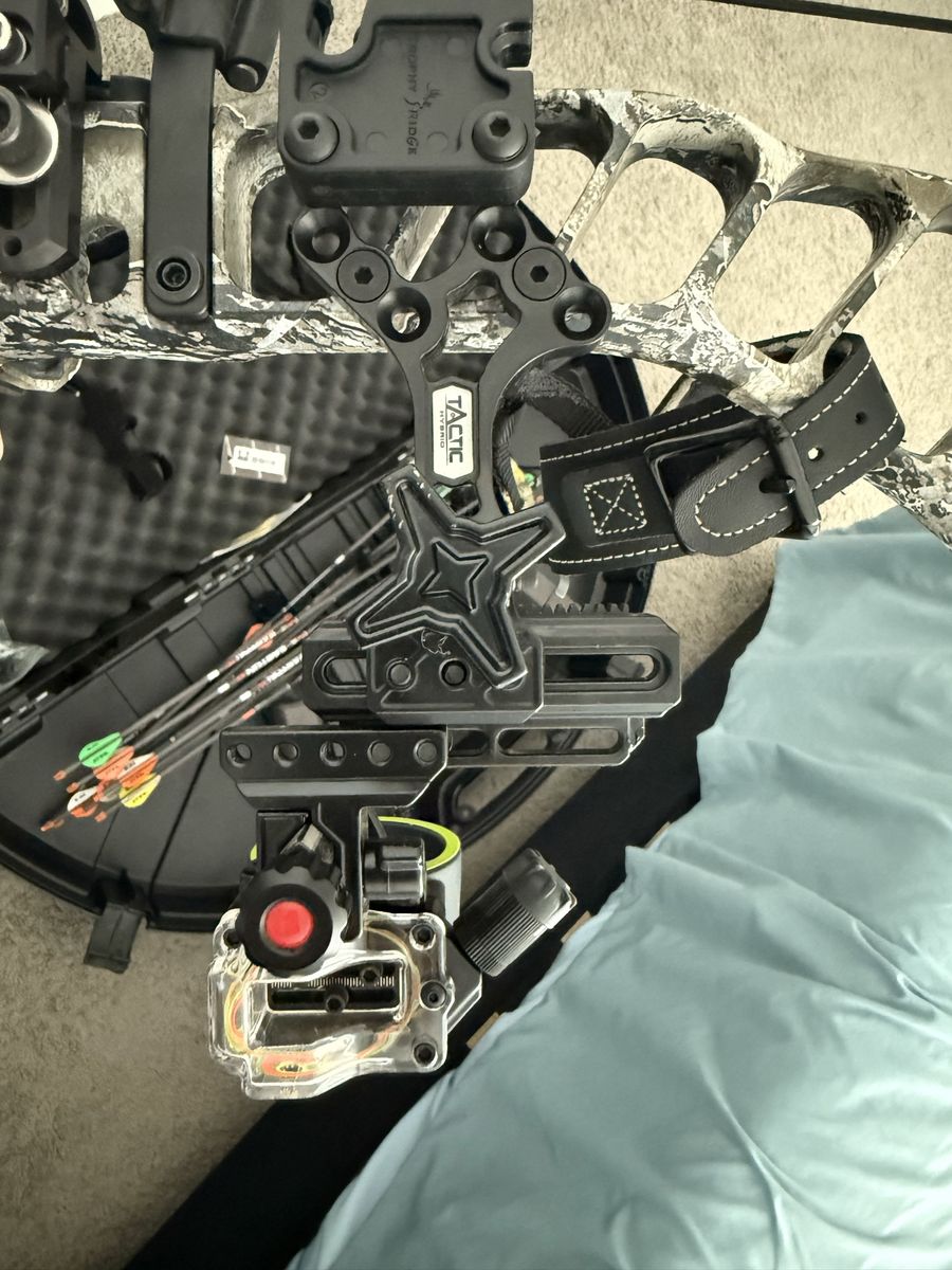 Main image 2