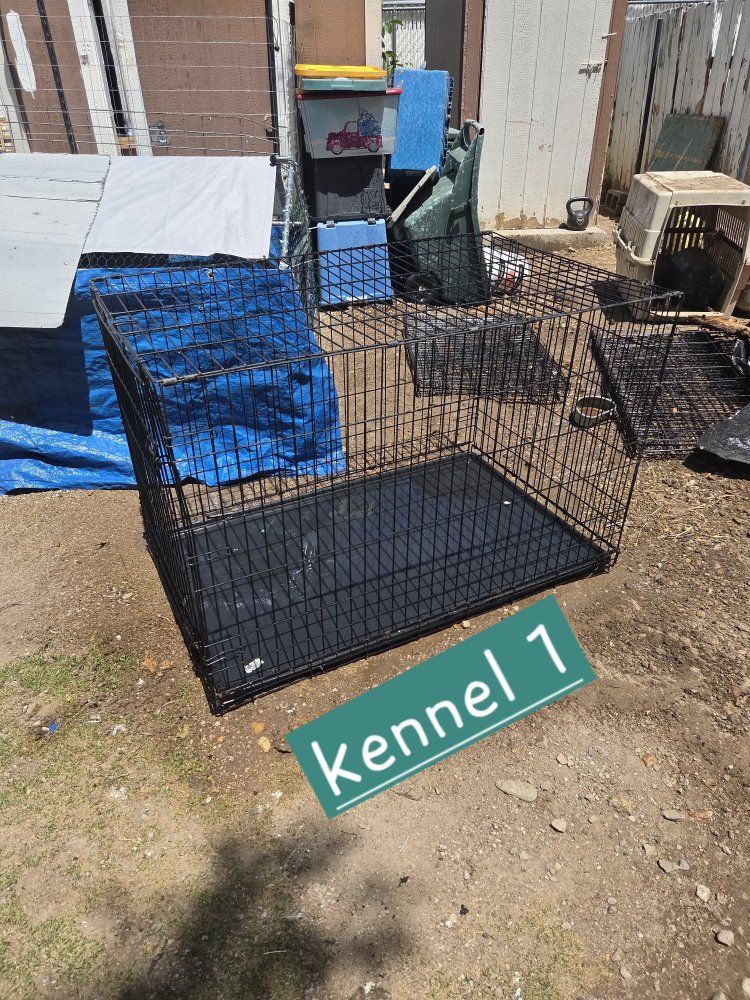 multiple wire kennels