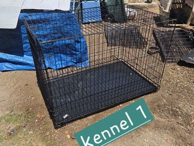 multiple wire kennels