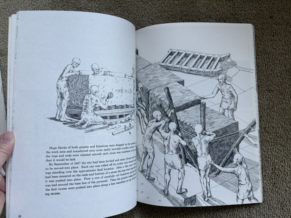Main image 8