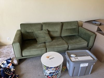 Velvet green couch