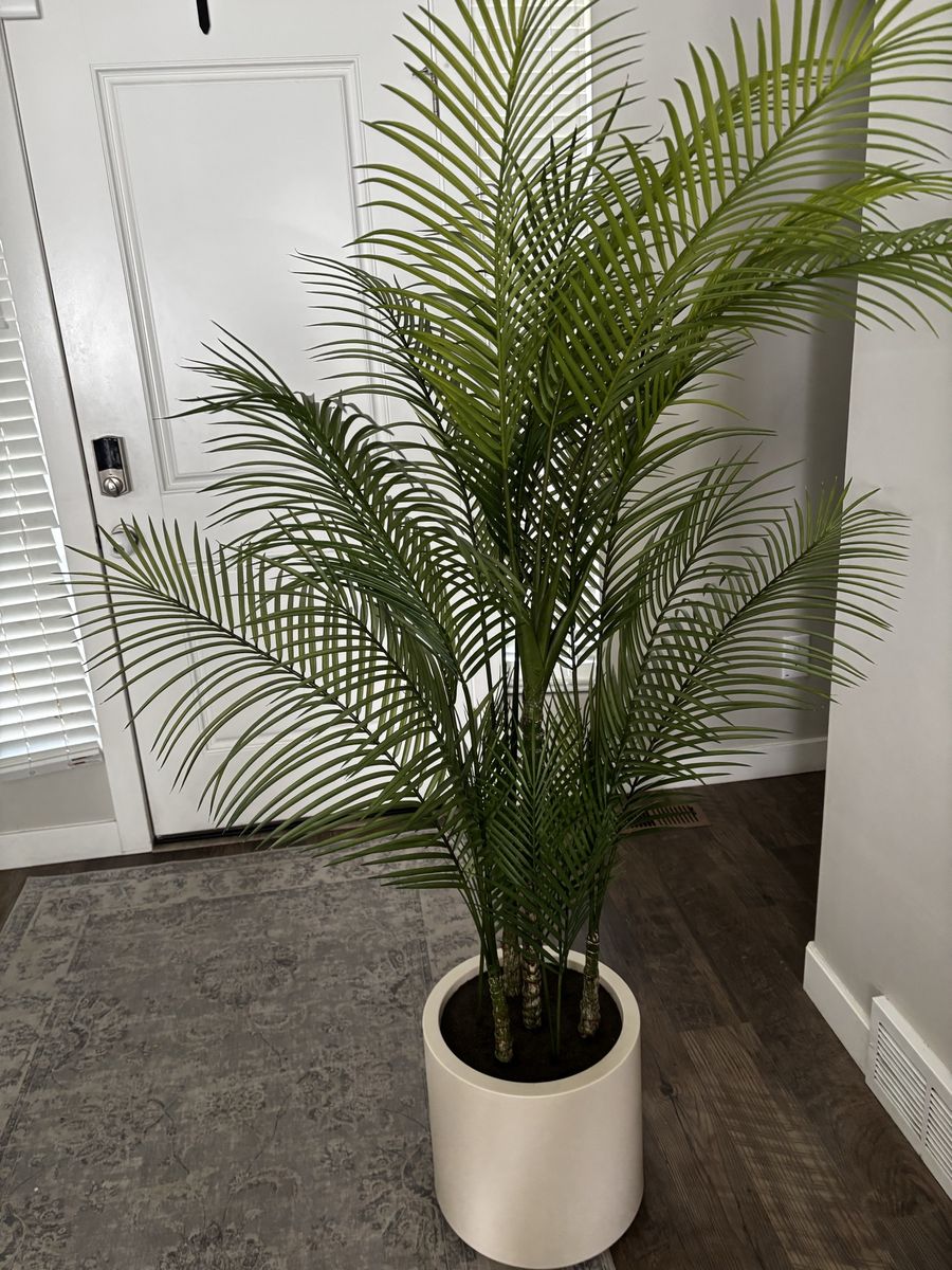 Costco Artificial Areca Palm Tree in White Planter Pot - Realistic Faux Plant Decor