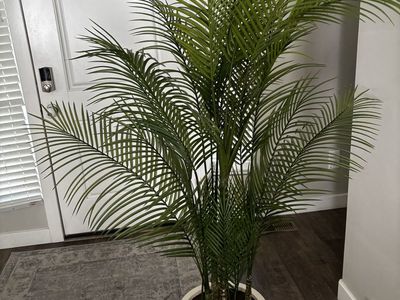 Costco Artificial Areca Palm Tree in White Planter Pot - Realistic Faux Plant Decor