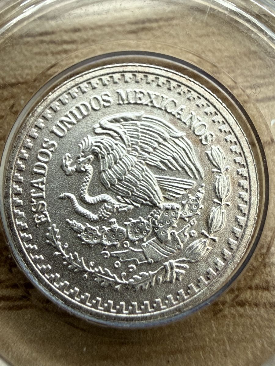 Main image 5