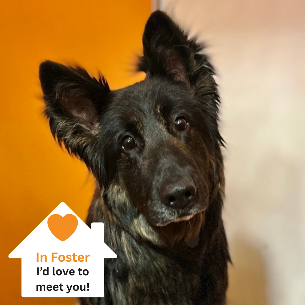 Hello my name is Nona