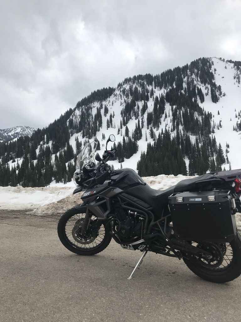 2015 Triumph tiger 800 xcx
