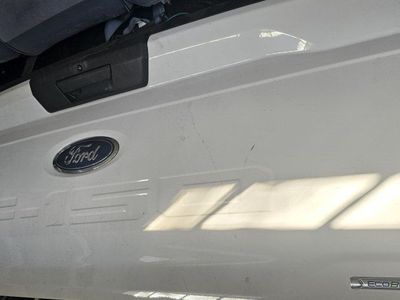 OEM Ford F-150 Ecoboost White Tailgate Assembly - Minor Scratches, Fully Functional