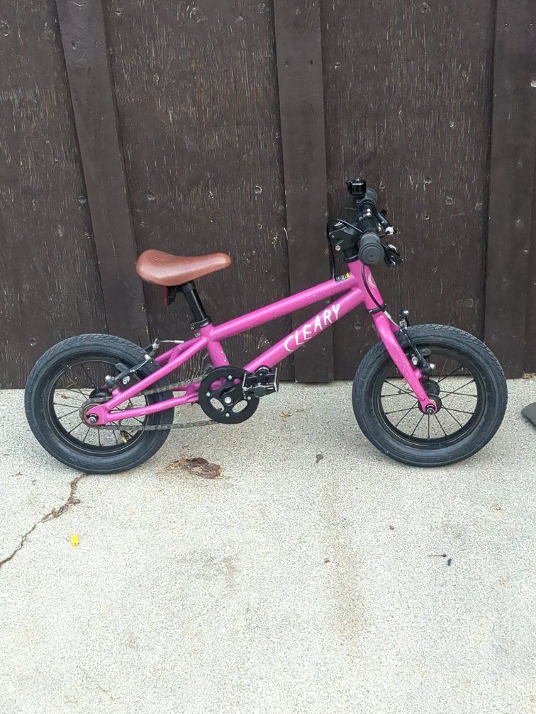 2022 Cleary Gecko 12" kids bike