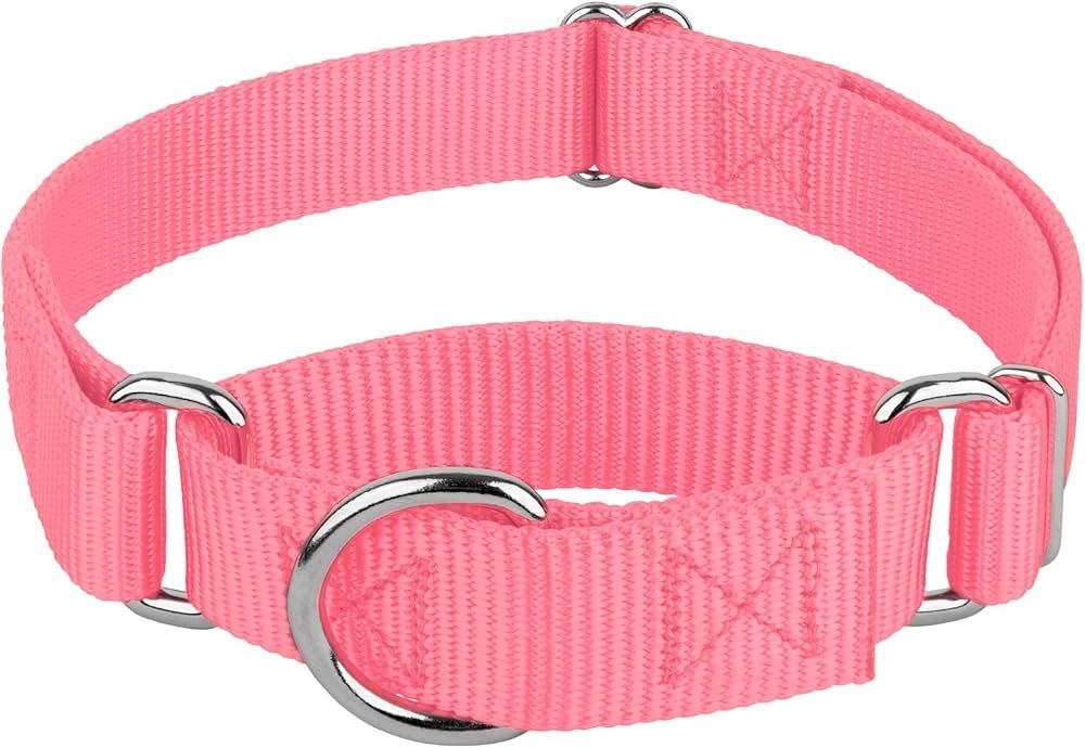 Leash training dog collar
