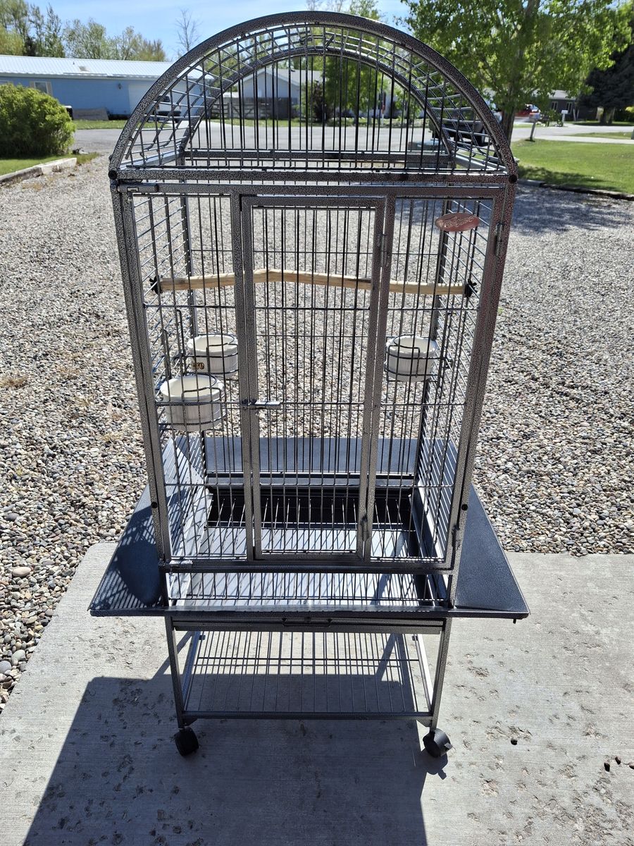 Bird Cage