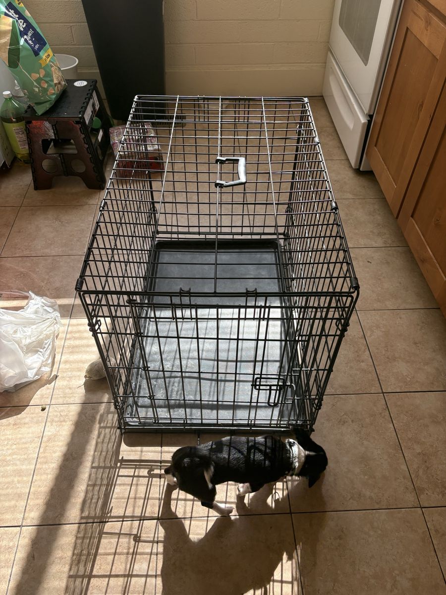 Medium Wire Dog Crate Kennel with Removable Tray and Carrying Handle