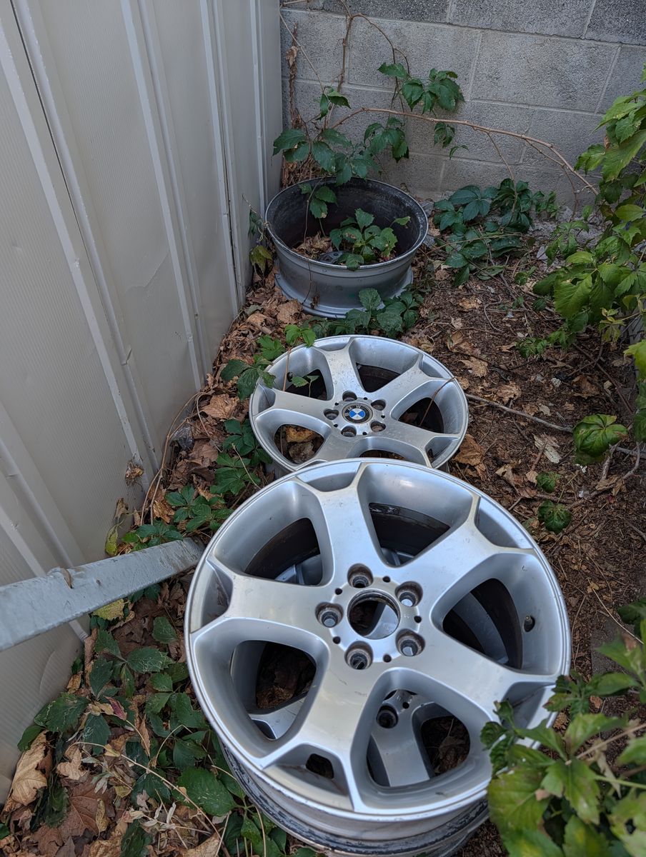 Alloy Wheels / Rims