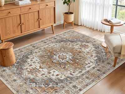 Area Rug 4x6 Washable Rugs: Vintage Living Room Rug Soft Low Pile Non Slip Area Rugs Distressed Indoor Floor Carpet for B