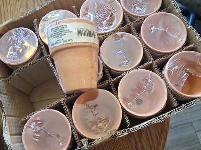 Terra Cotta Pots