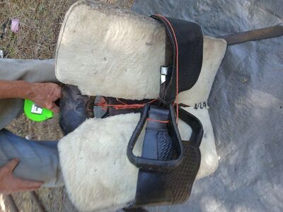 Horse Saddle