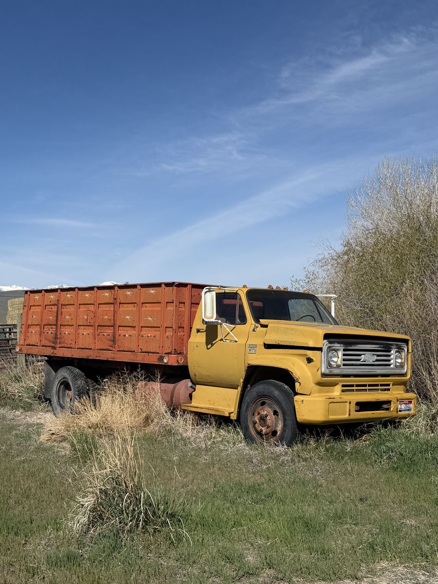 1974 Chevy C60