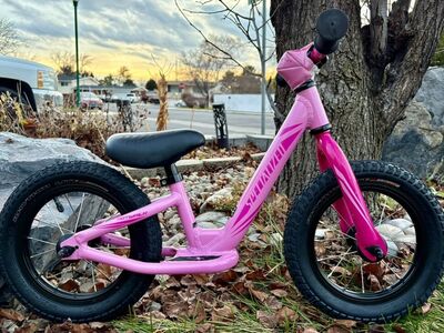 12 Inch Hot Walk Specialized Balance Bike