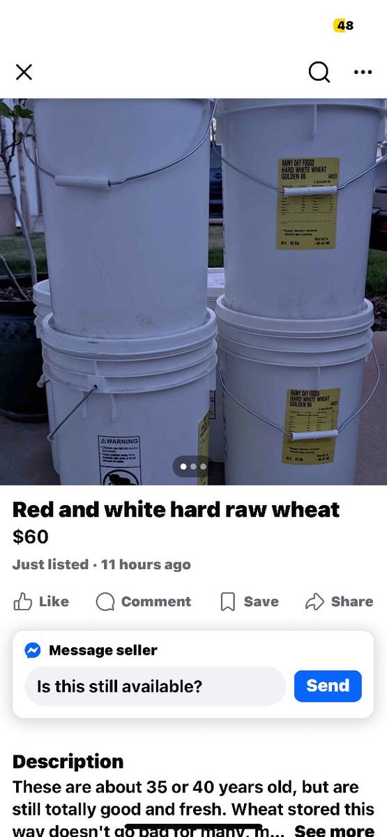 Rainy Day Foods Hard White & Red Wheat Buckets