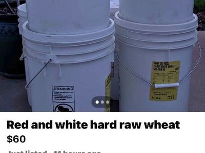 Rainy Day Foods Hard White & Red Wheat Buckets